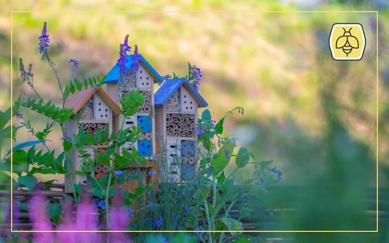 Bee Garden: The Best Plants for Bees - QC Supply