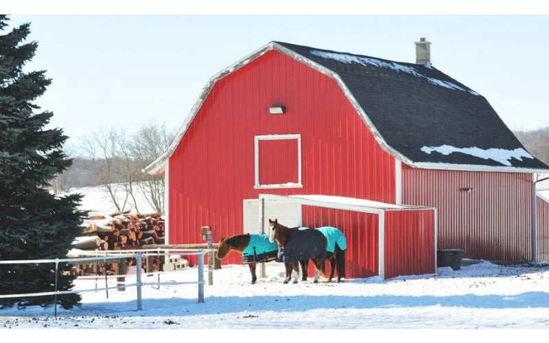 two horses in front of the barn in winter
