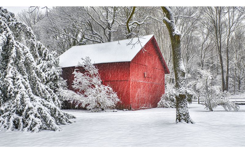 A poultry barn covered with snow in winter