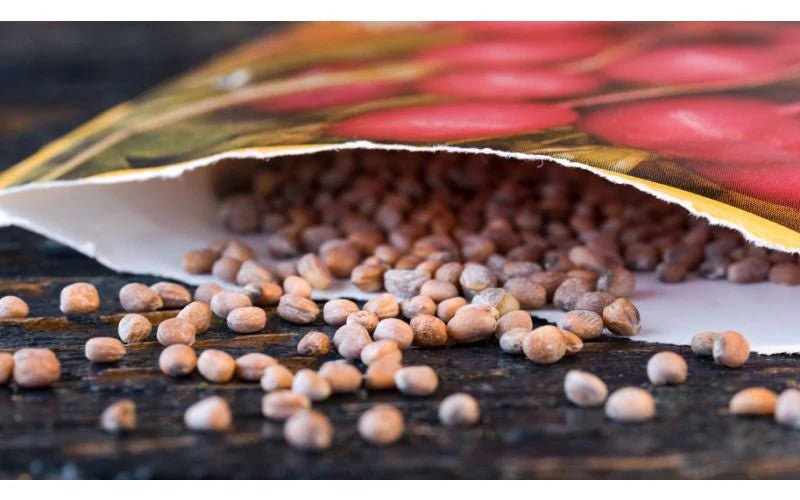 From Packet to Plant: The Art of Seed Sowing - QC Supply