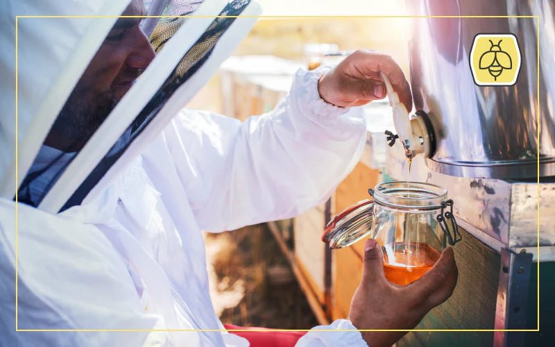 Harvesting Honey: Methods for Extracting, Filtering, and Storing - QC Supply