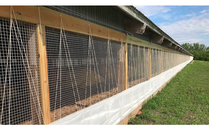 Maximizing Livestock Comfort: The Role of Barn Curtains - QC Supply