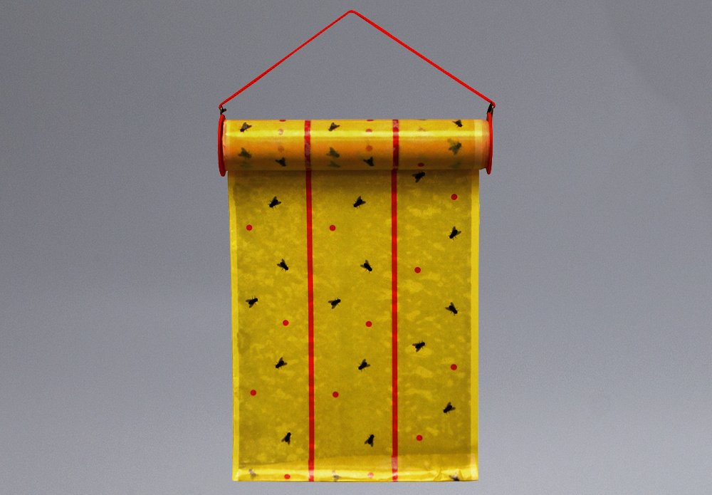 Catchmaster 931 Giant Fly Glue Trap