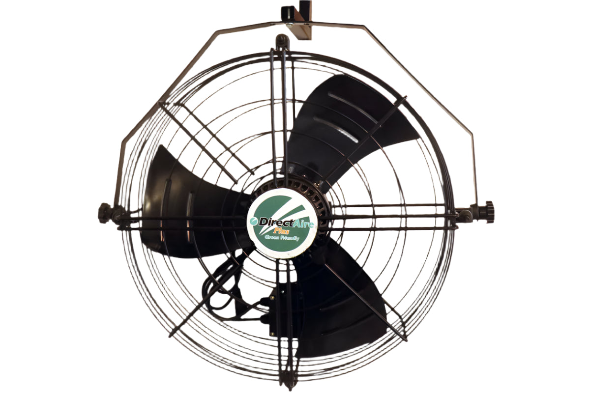 Directaire Plus Stir Fan