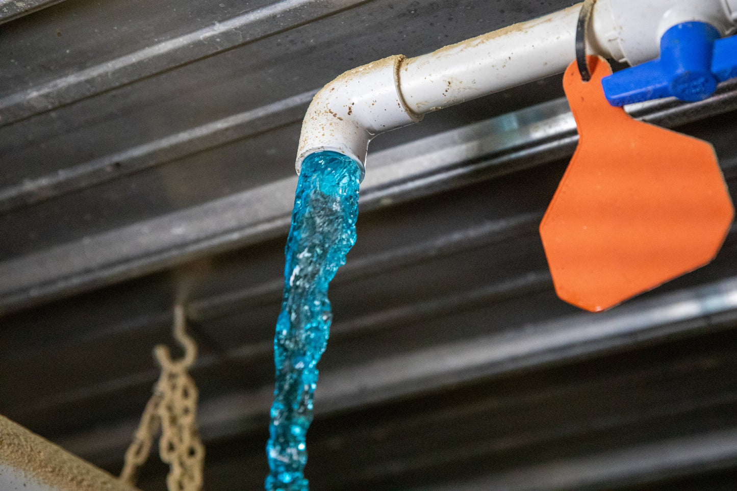 VaccShield Vaccine Stabilizer