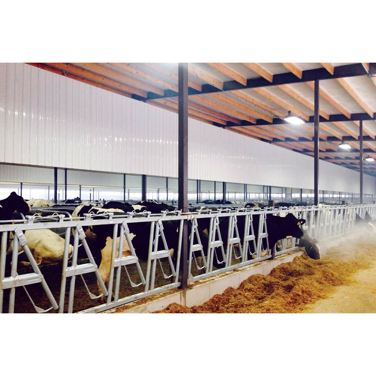 Agrilite™ 9" PVC Corrugated Liner Panels, Ultra - QC Supply -