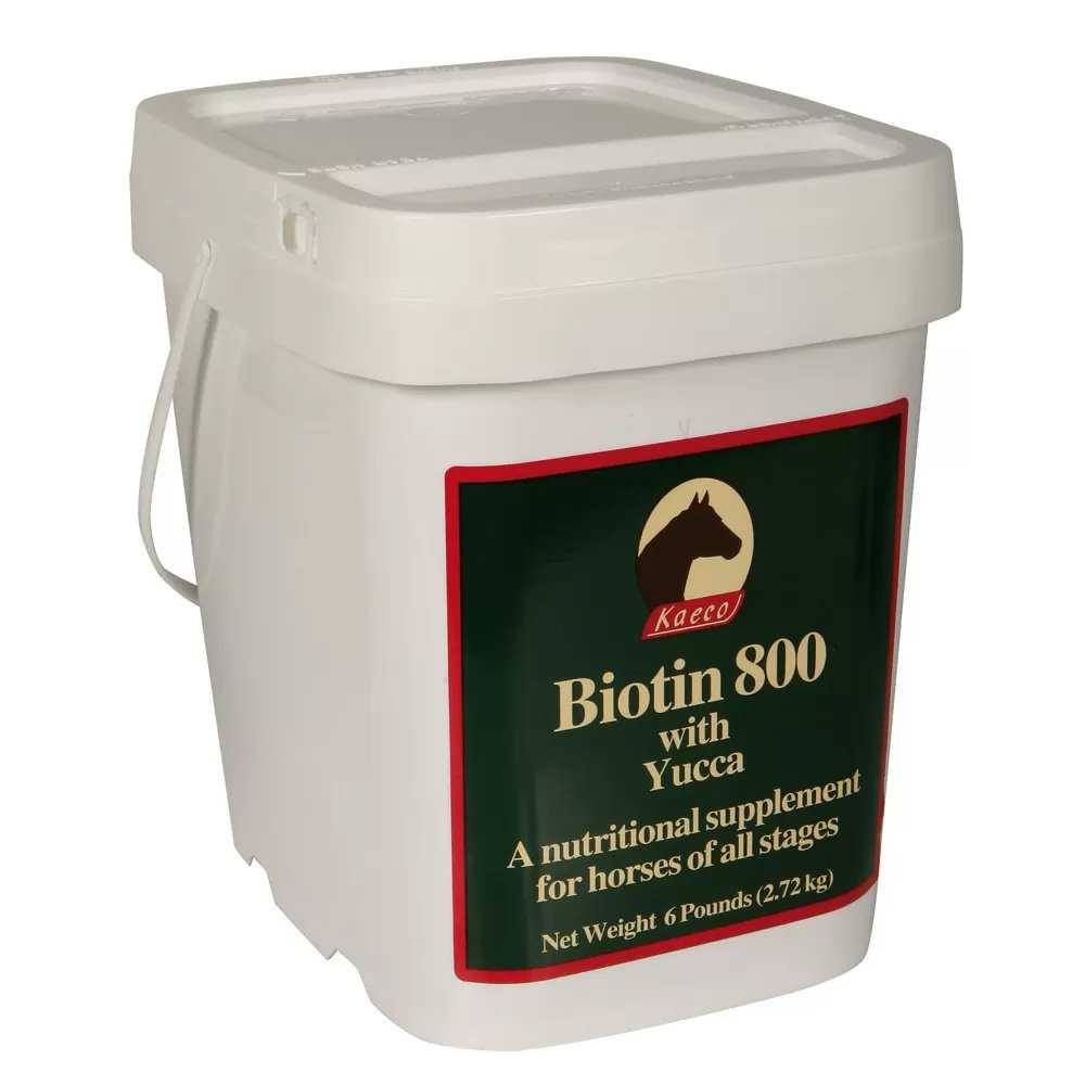 Biotin 800® Powder - QC Supply -