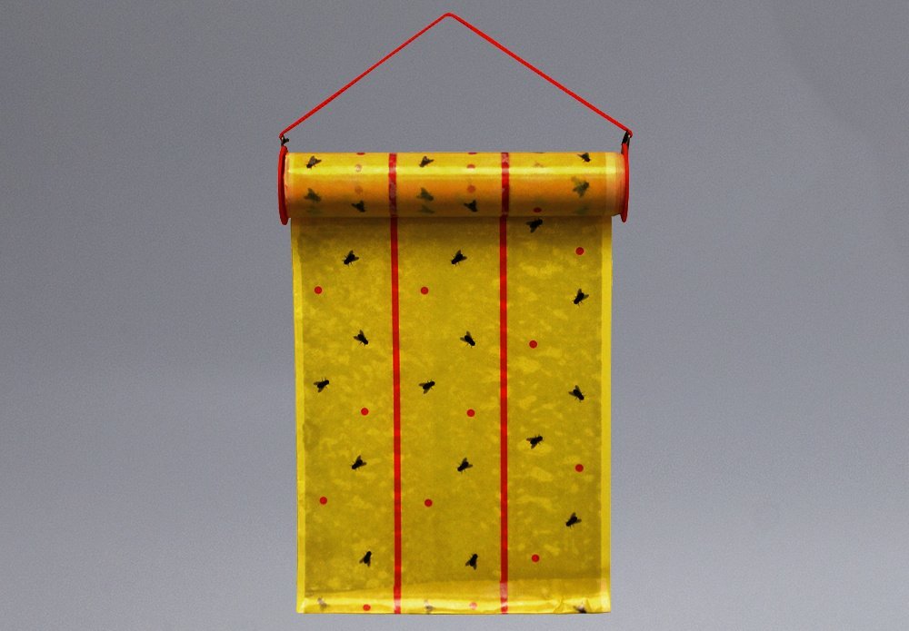 Catchmaster 931 Giant Fly Glue Trap - QC Supply -