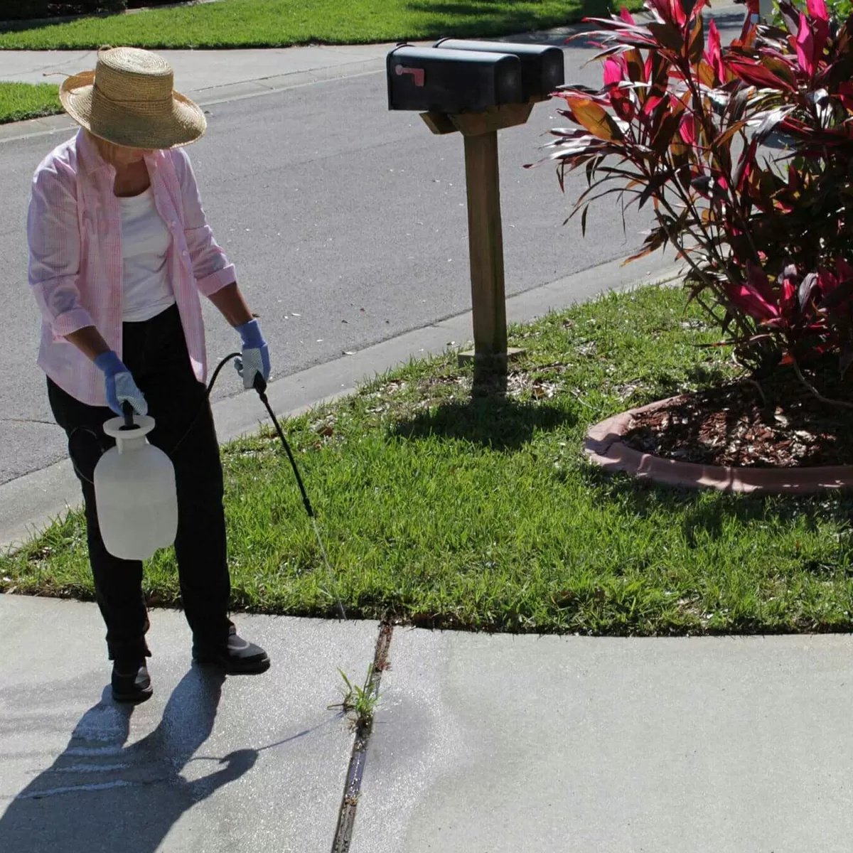 Chapin Home & Garden Sprayer - 1 Gallon - QC Supply -