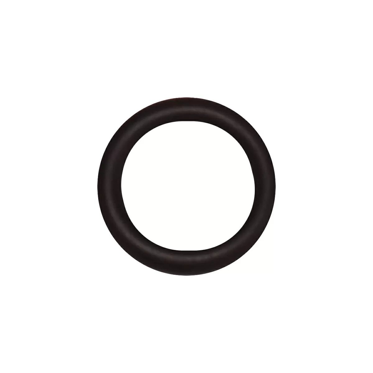 Dosatron® D128R Actuator Assembly Inlet ORing - QC Supply -