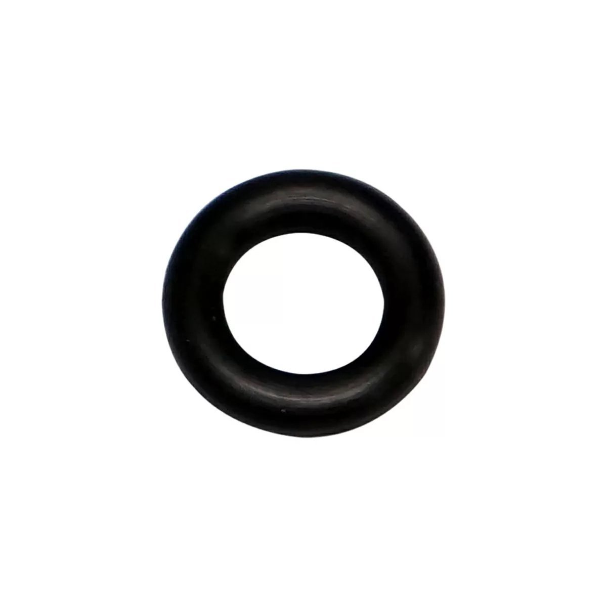 Dosatron® DM11F Plunger ORing - QC Supply -