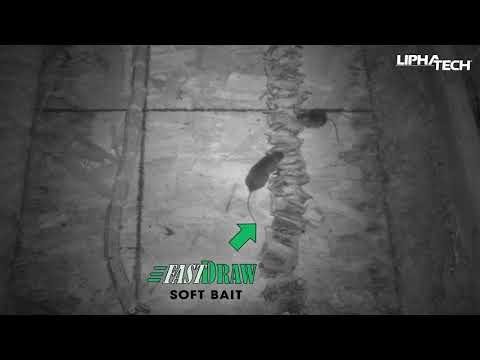 FastDraw® Soft Bait Rodenticide 8 lb. or 16 lb. Pail - QC Supply -