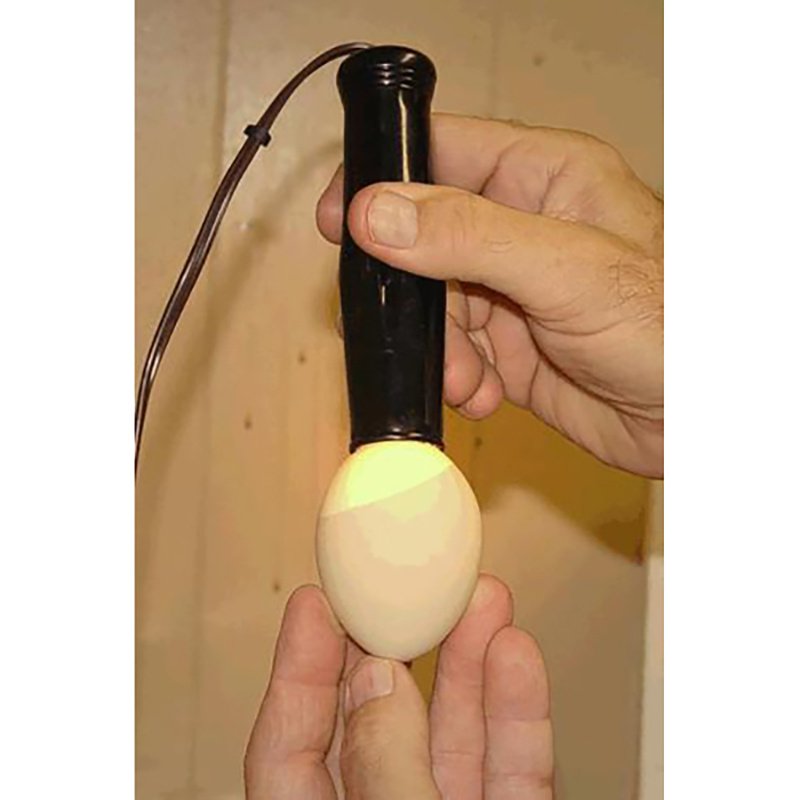GQF Manufacturing Cool - Lite Tester - QC Supply -