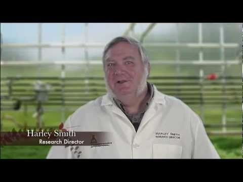 Growth Technology Clonex® Rooting Gel - QC Supply -