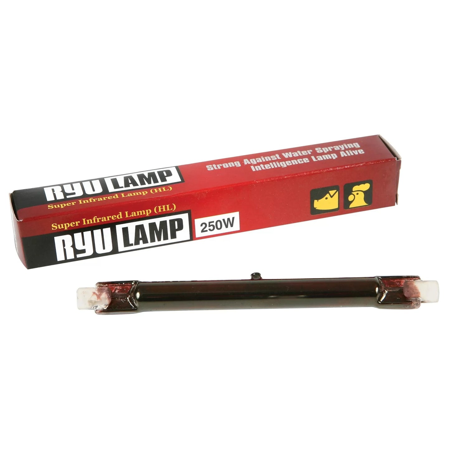 Halogen Heat Bulb - QC Supply -