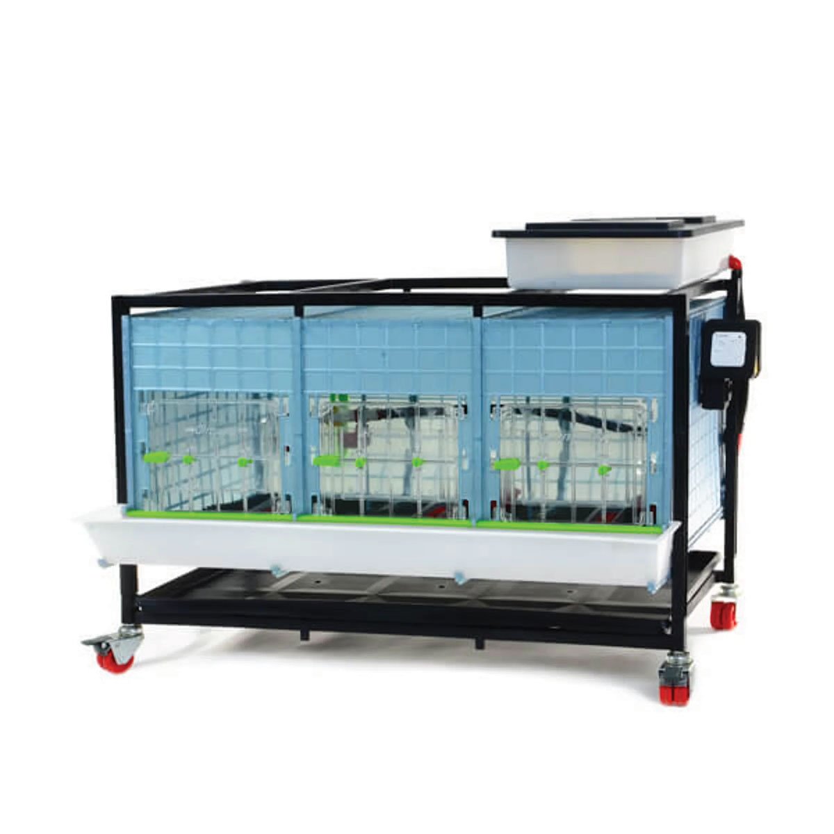 Hatchingtime Chick Brooder for Poultry Single Layer - QC Supply -