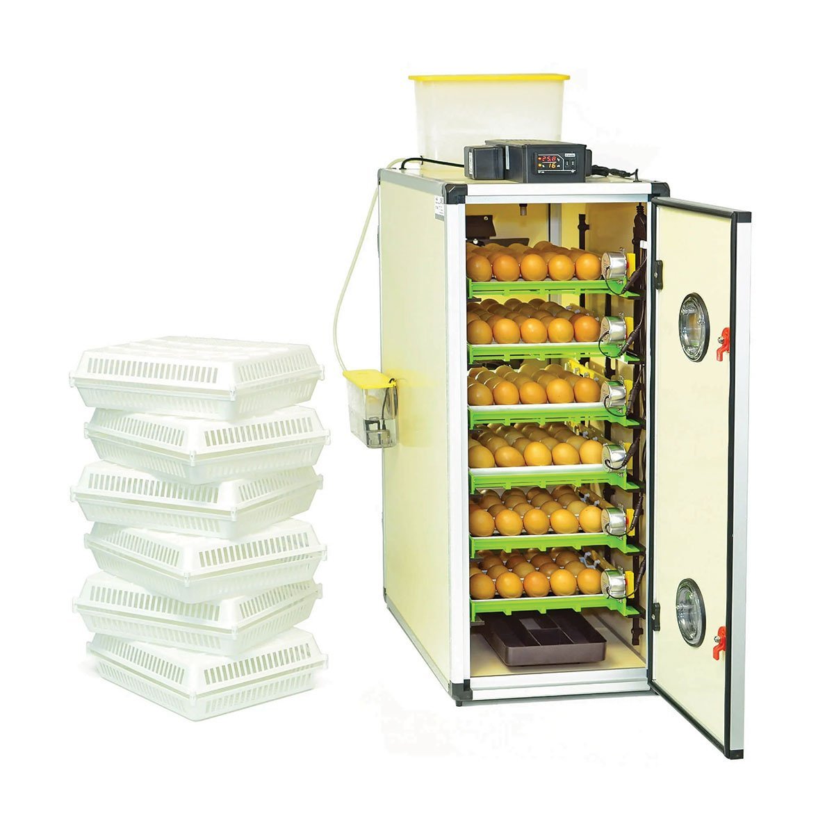Hatchingtime Egg Incubator - 180 Eggs - QC Supply -
