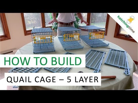 Hatchingtime Quail Cage - 5 Layer - QC Supply -