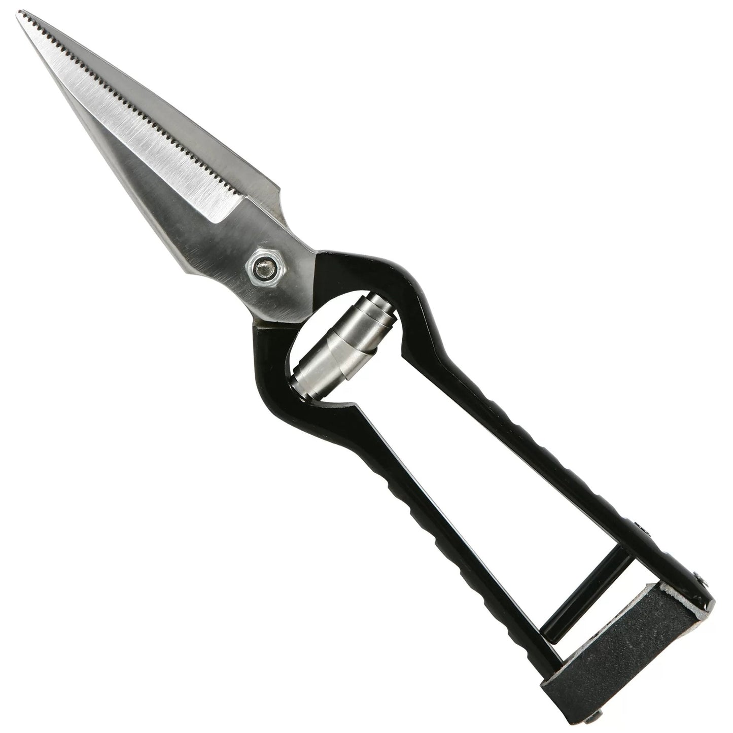 Hoof Rot Shears - Serrated - QC Supply -