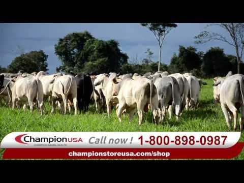 JustiFLY® Cattle Feedthrough 3% - 360 gram - QC Supply -