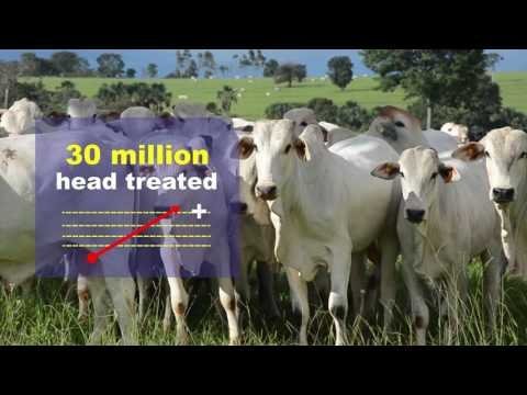 JustiFLY® Cattle Feedthrough 3% - 360 gram - QC Supply -