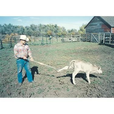 Kalf Katch - QC Supply -