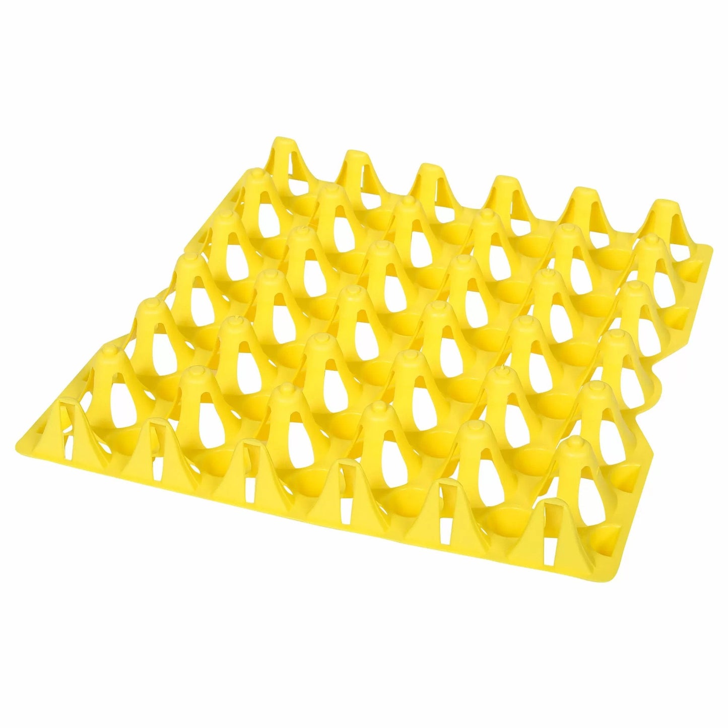 KUHL Plastic Washing Egg Tray - QC Supply -