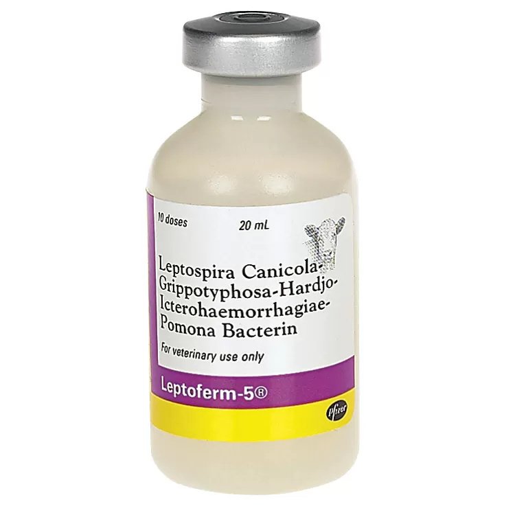 Leptoferm5® (Zoetis - QC Supply -