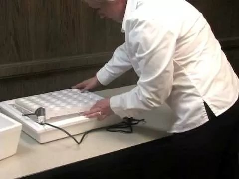 Little Giant® Automatic Egg Turner - QC Supply -