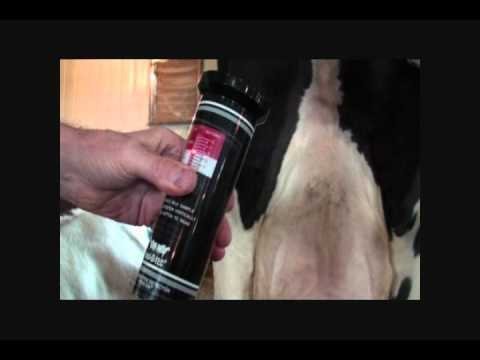 Mas - D - Tec® Mastitis Detector - QC Supply -