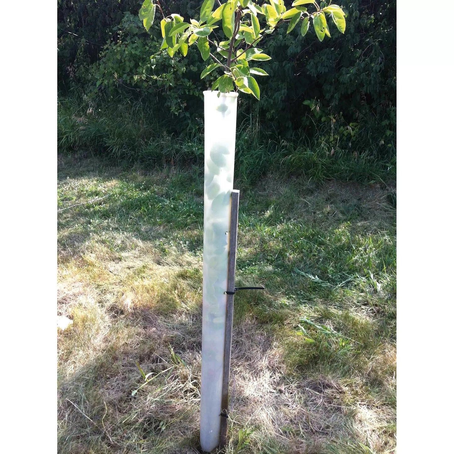 Miracle Tubes Tree Protector - QC Supply -