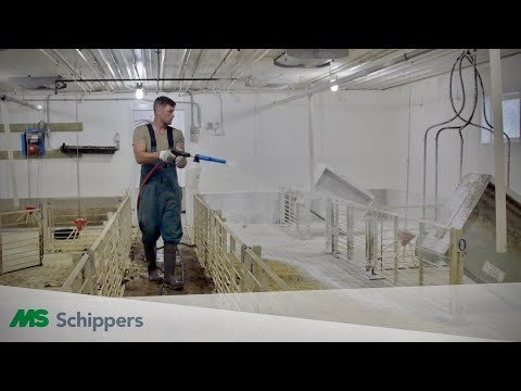 MS TopFoam Power Cleaner - 5 Gallon Jug - QC Supply -