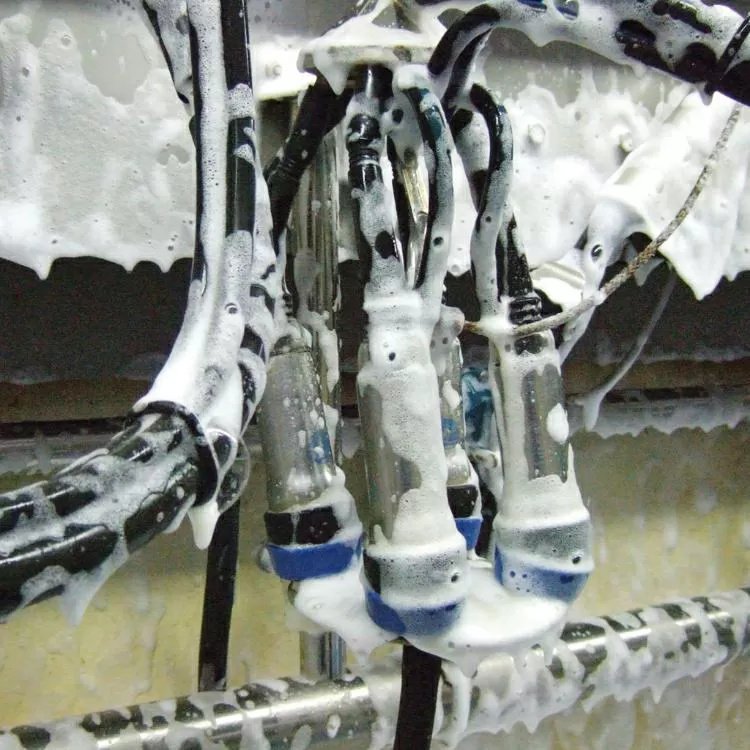 MS TopFoam Power Cleaner - 5 Gallon Jug - QC Supply -