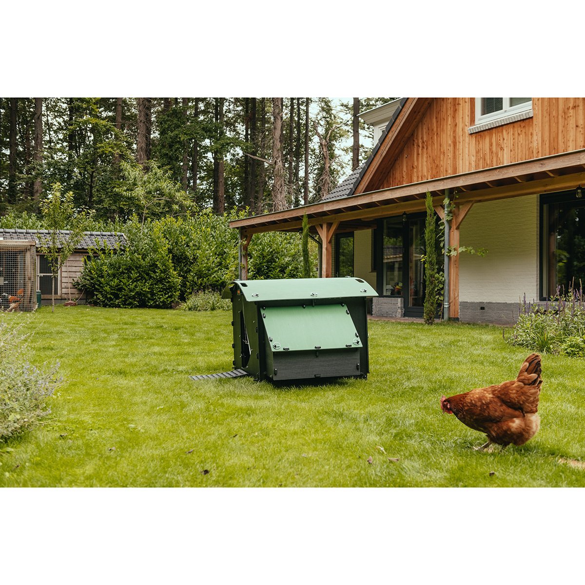 Nestra Large Ground Chicken Coop - QC Supply -