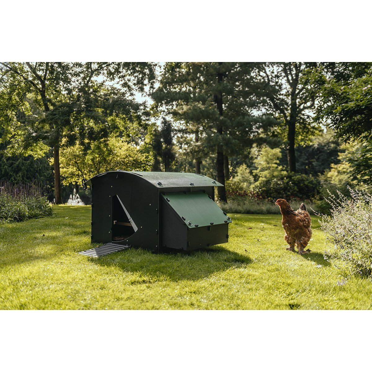 Nestra Large Ground Chicken Coop - QC Supply -