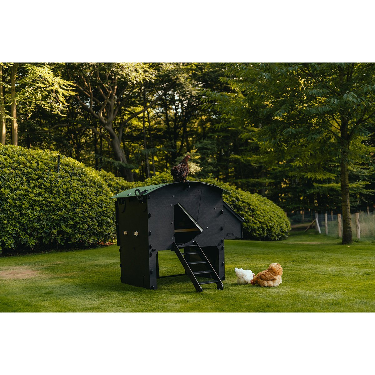 Nestra Large Raised Chicken Coop - QC Supply -