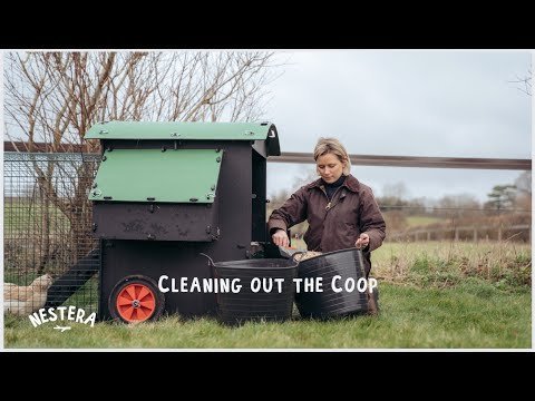 Nestra Medium Lodge Chicken Coop - QC Supply -