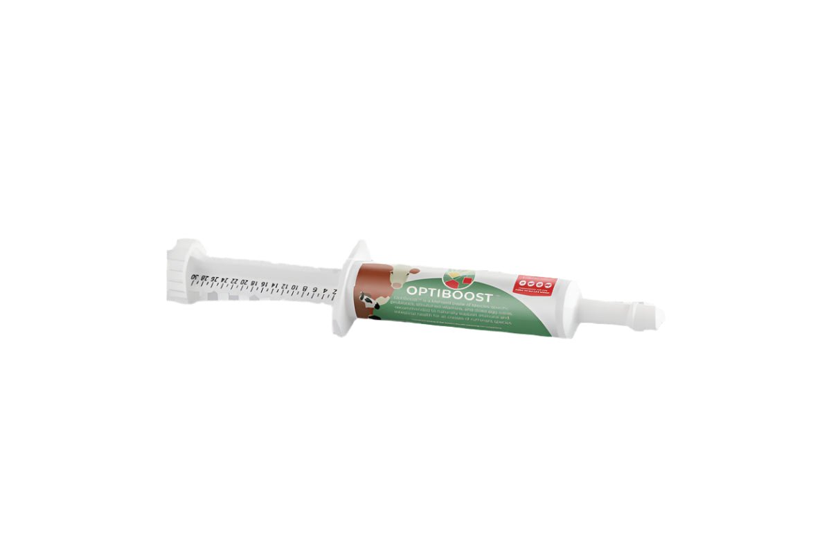 Optiboost™ Probiotic Paste - QC Supply -