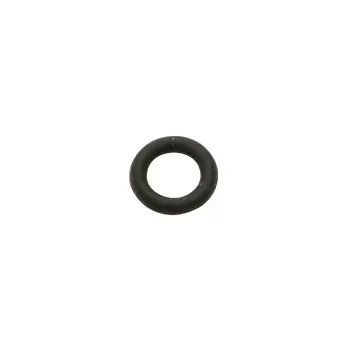 ORing 009 Buna for Chemilizer™ Main Body - QC Supply -