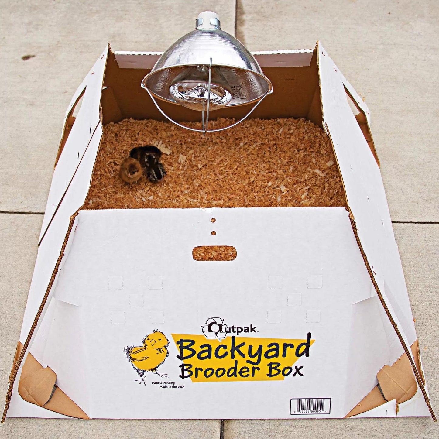 Outpak® Backyard Brooder Box - Holds 24 Chicks - QC Supply -