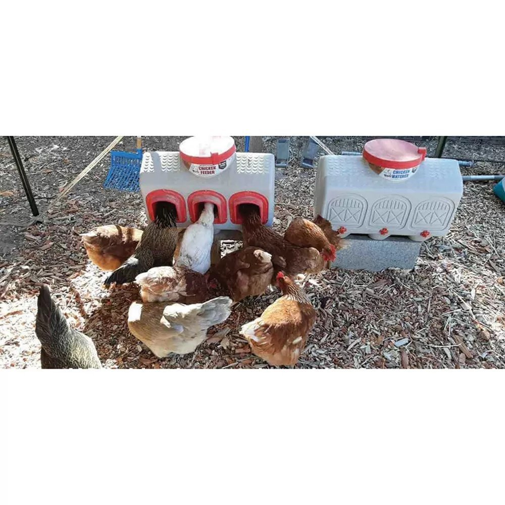 OverEZ Chicken Coop Chicken Feeder - QC Supply -