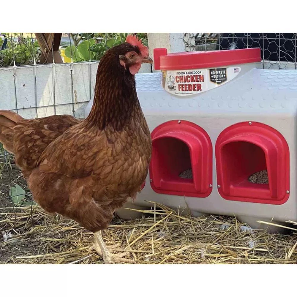 OverEZ Chicken Coop Chicken Feeder - QC Supply -