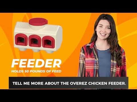 OverEZ Chicken Coop Chicken Feeder - QC Supply -