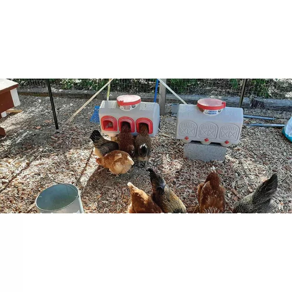 OverEZ Chicken Coop Chicken Waterer - QC Supply -