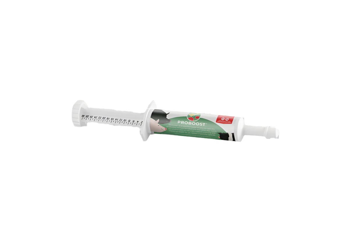 Proboost Probiotic - QC Supply -