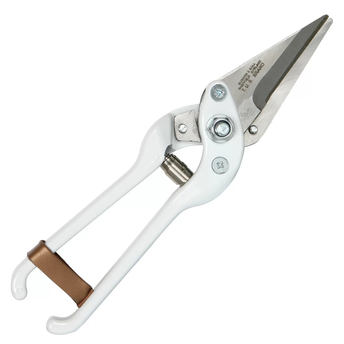 Professional Foot Rot Shear - Serrated - QC Supply -