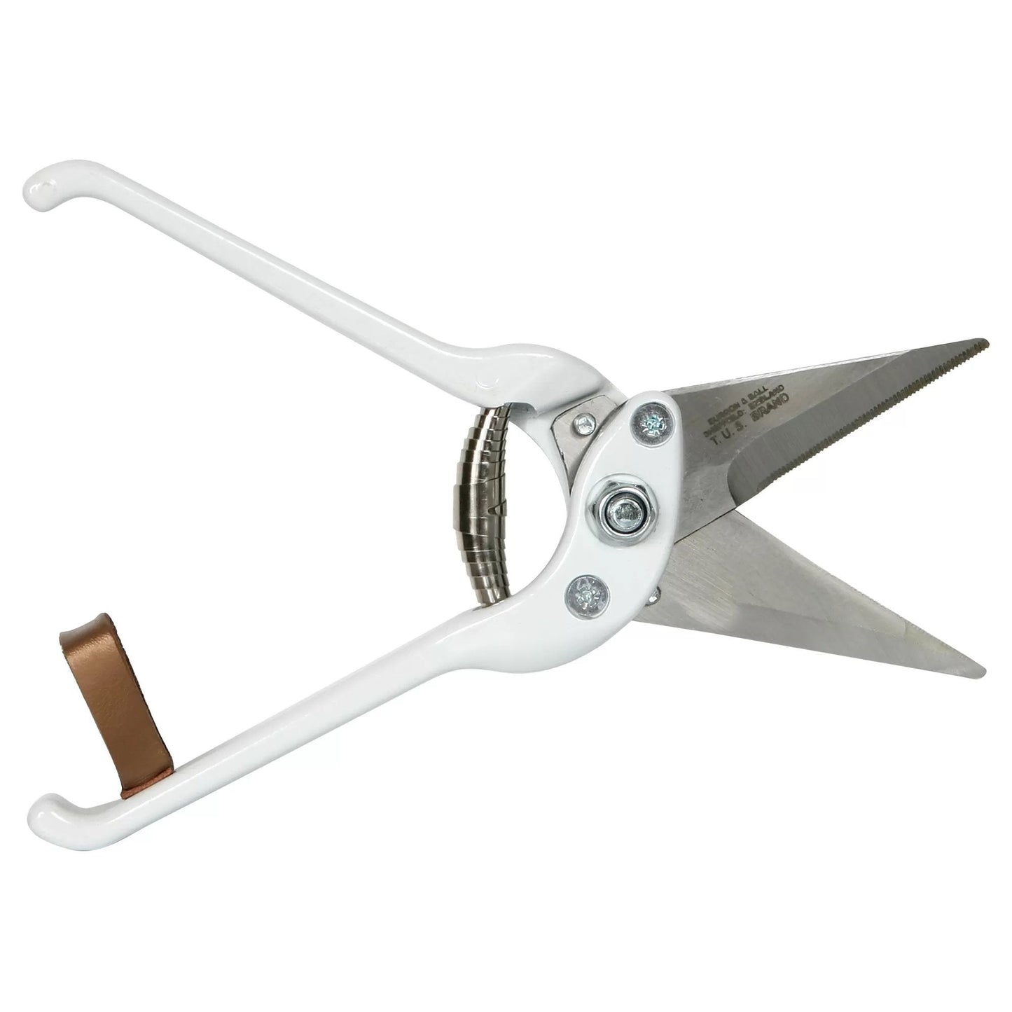 Professional Foot Rot Shear - Serrated - QC Supply -