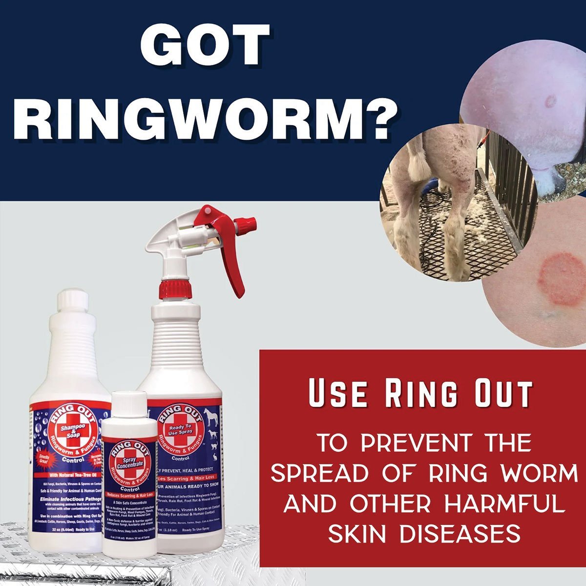 Ring Out Concentrate - 4 oz - QC Supply -