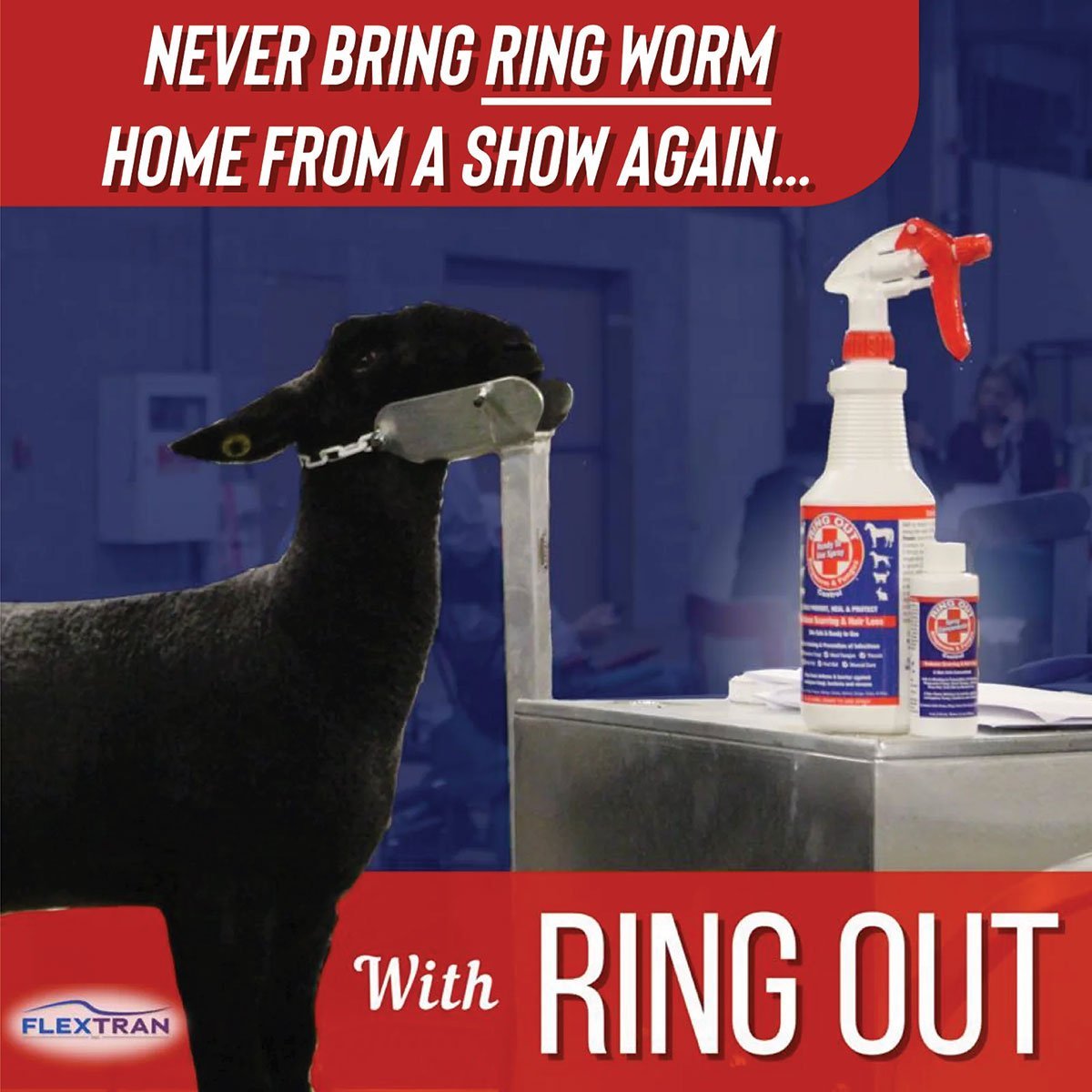 Ring Out Concentrate - 4 oz - QC Supply -