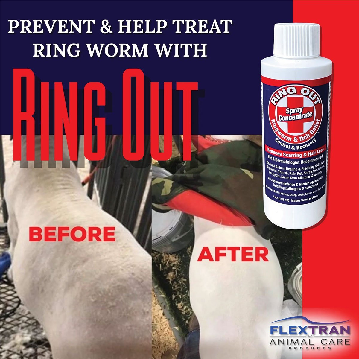Ring Out Concentrate - 4 oz - QC Supply -